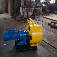 广西柳州市工业软管泵蠕动软管泵化学物品输送软管泵大流量泵粘稠物输送泵